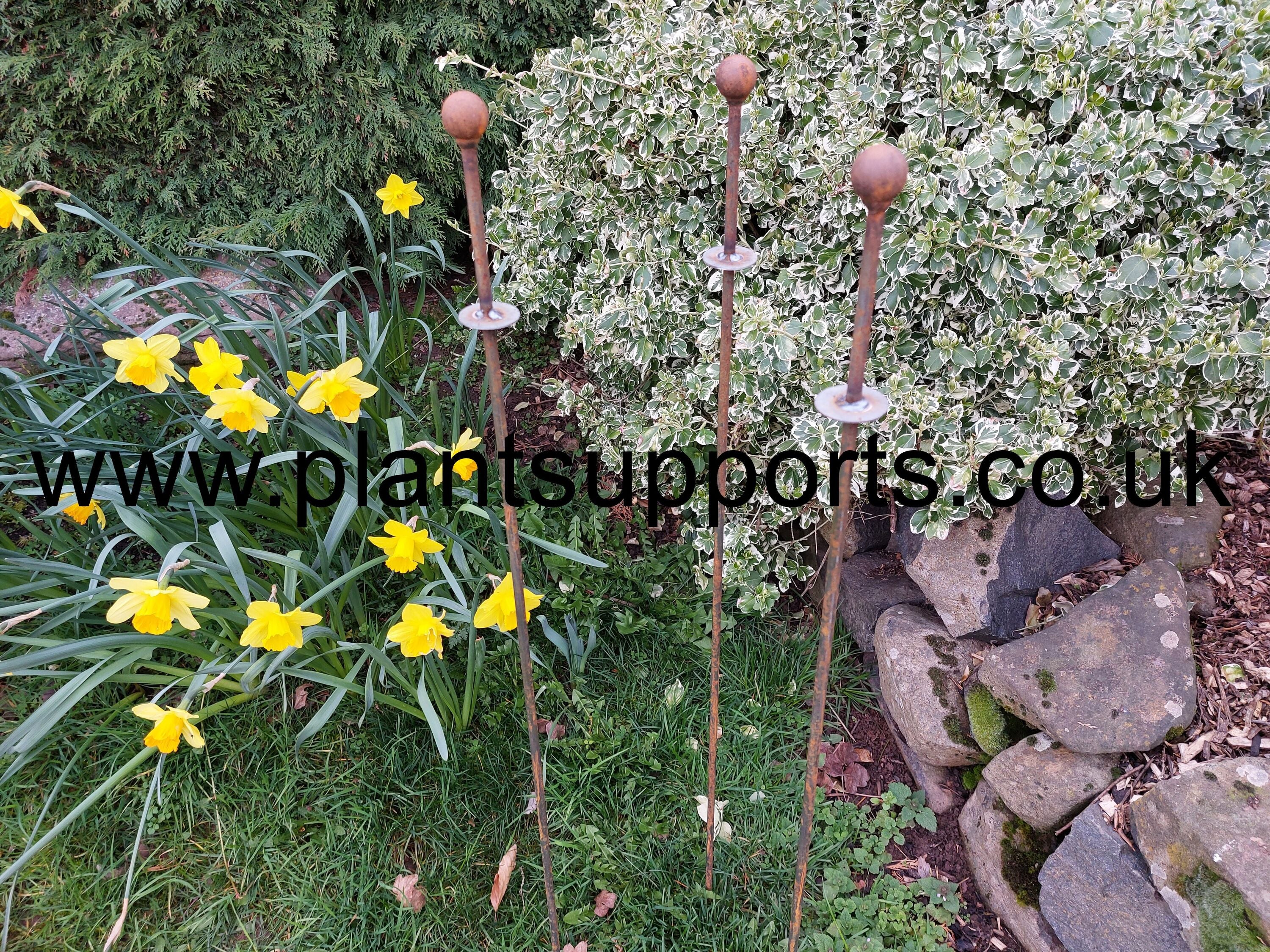 Ball topped Iron Plant Stake with Lip pack of 3 A0077A Ball topped Iron Plant Stake with Lip pack of 3 A0077A